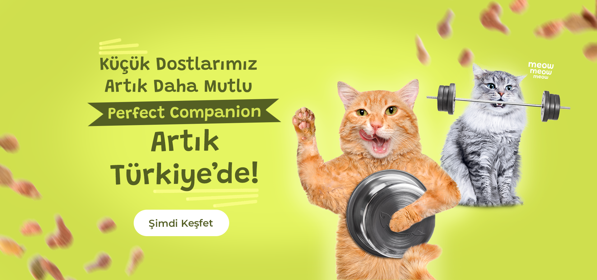 Yaş Mama